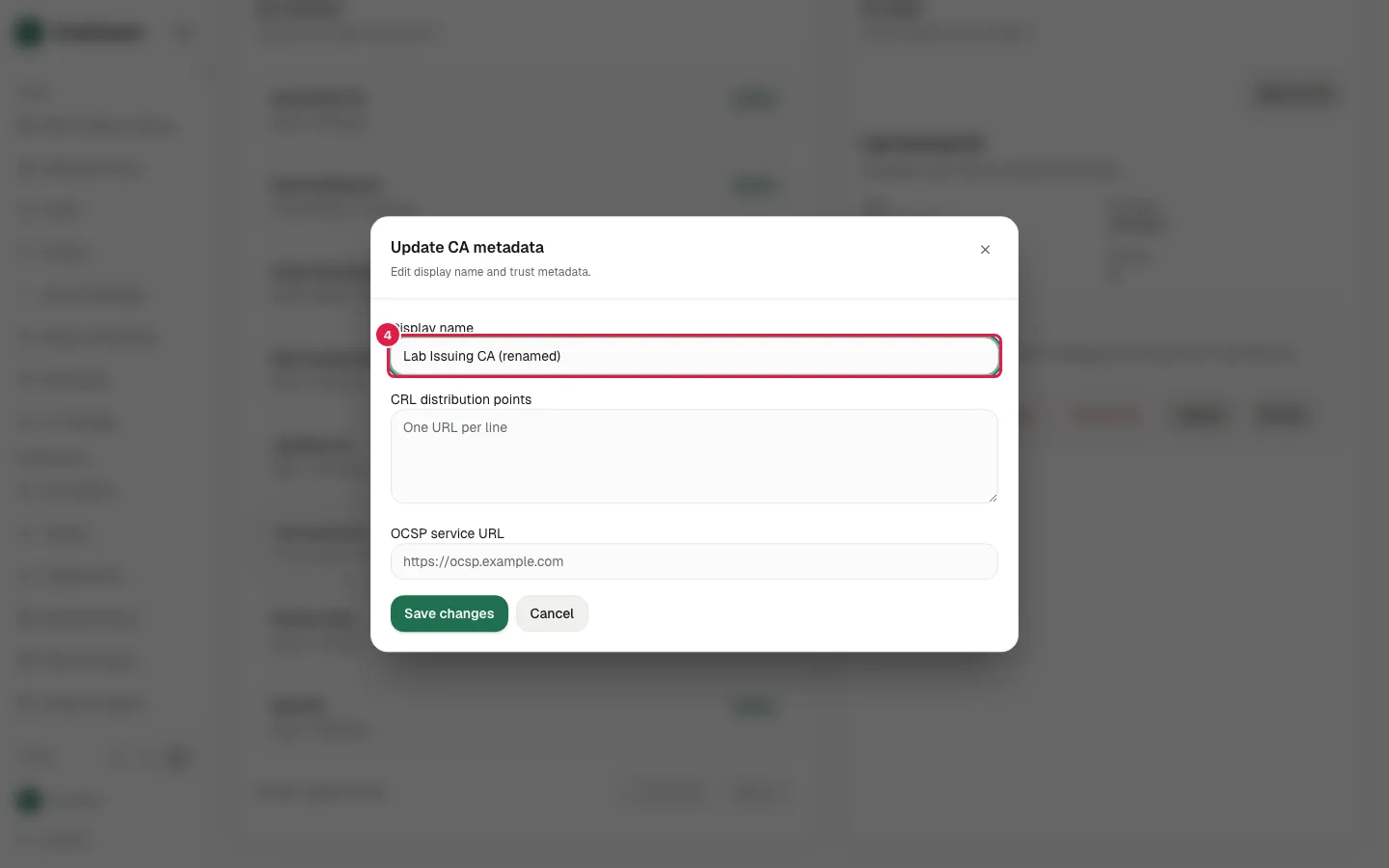 Fill Display name with "Lab Issuing CA (renamed)"